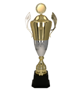 Puchar metalowy złoto-srebrny Diuna 3105-N – z pokrywką lub bez, 6 rozmiarów (47–76 cm)