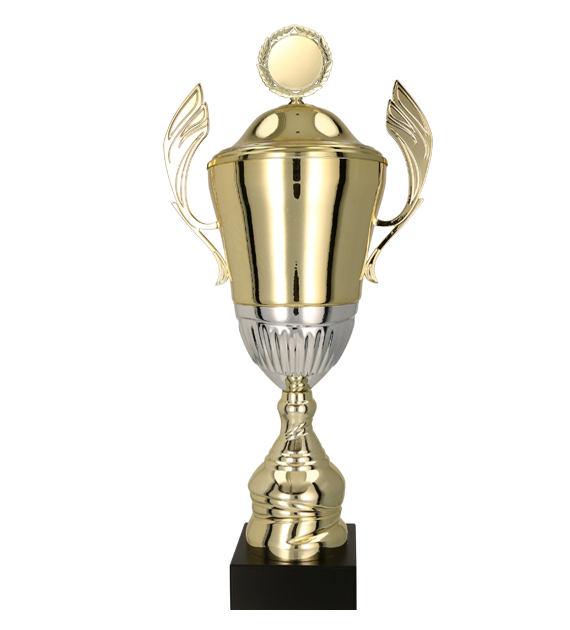 Puchar metalowy złoto-srebrny 4128 – z pokrywką lub bez, 8 rozmiarów (36–56 cm)