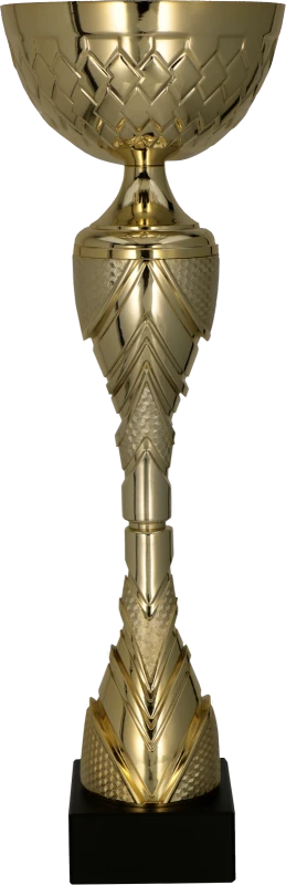 Puchar metalowy złoty 8487 – z pokrywką lub bez, 17 rozmiarów (23,5–61 cm) – zdjęcie 2