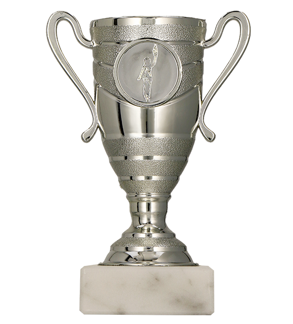 Puchar plastikowy srebrny 9037/S – 13 cm