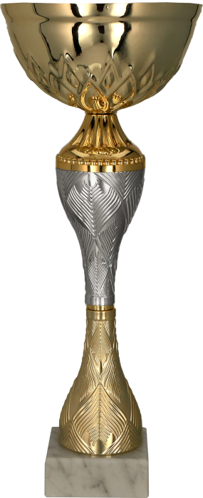 Puchar metalowy złoto-srebrny 9266 – z pokrywką lub bez, 13 rozmiarów (21–46,5 cm) – zdjęcie 2