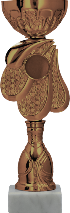 Puchar metalowy brązowy z emblematem 25 mm 9313/B – 21,5 cm