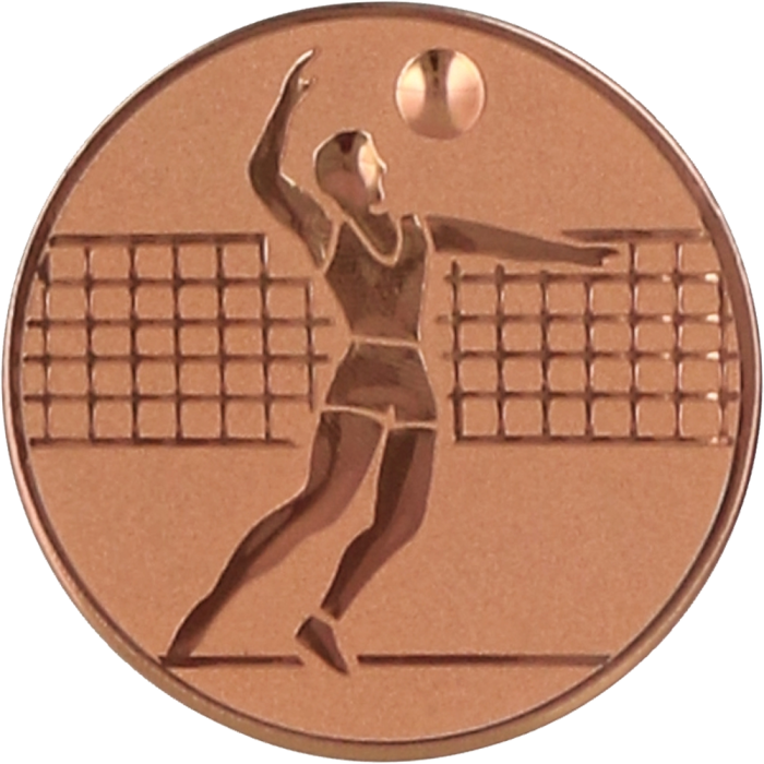 Emblemat aluminiowy brązowy 25 mm (wklejka) D1-A6/B – siatkówka, mężczyzn