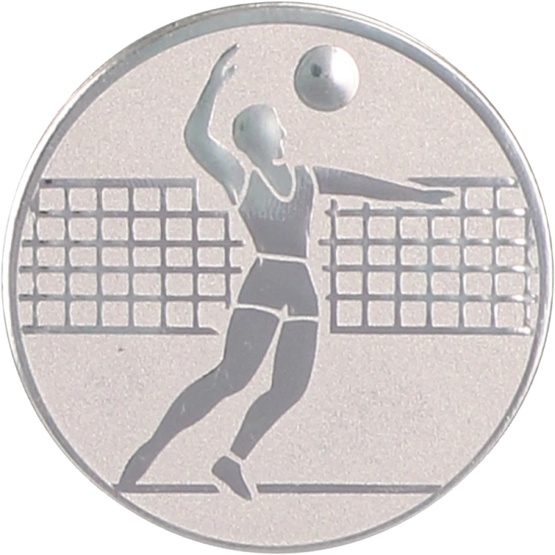 Emblemat aluminiowy srebrny 25 mm (wklejka) D1-A6/S – siatkówka, mężczyzn