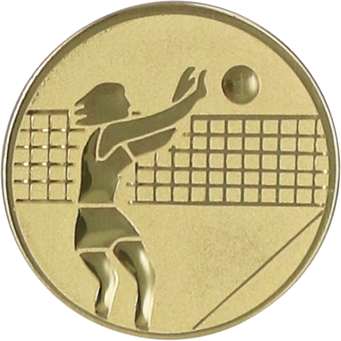 Emblemat aluminiowy 25 mm (wklejka) D1-A7 – siatkówka, kobiet