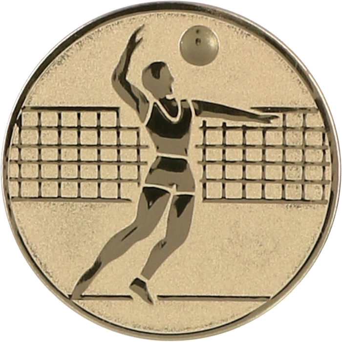 Emblemat aluminiowy złoty 50 mm (wklejka) D2-A6/G – siatkówka, mężczyzn
