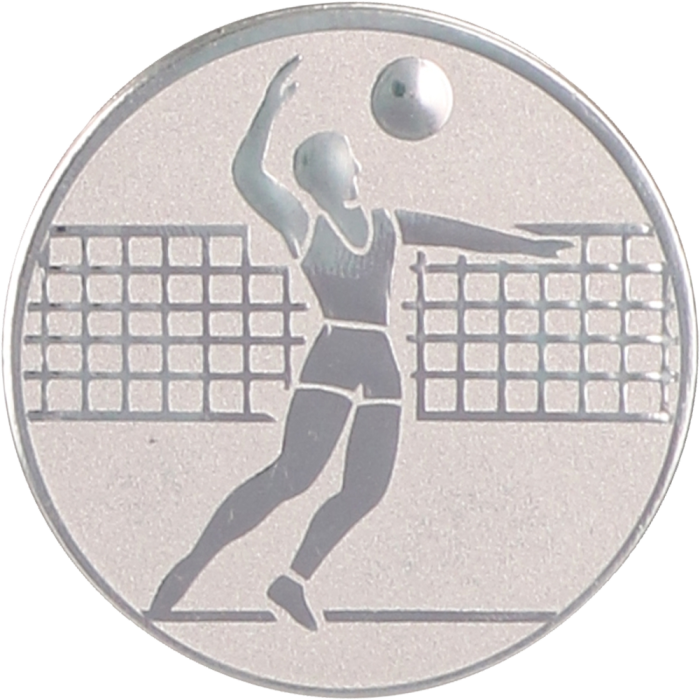 Emblemat aluminiowy srebrny 50 mm (wklejka) D2-A6/S – siatkówka, mężczyzn