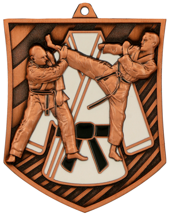 Medal odlewany brązowy MD8054/B – karate, 79 × 66 mm