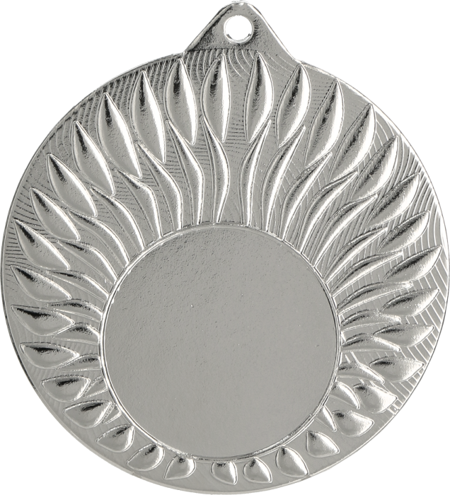 Medal stalowy srebrny z miejscem na emblemat 25 mm MMC24050/S – stalowy, Ø 50 mm