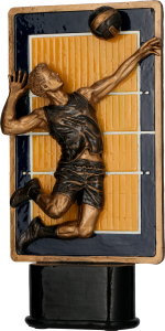 Figurka odlewana w kolorze brązu RFST3065/BR/Y – siatkówka, 23 cm