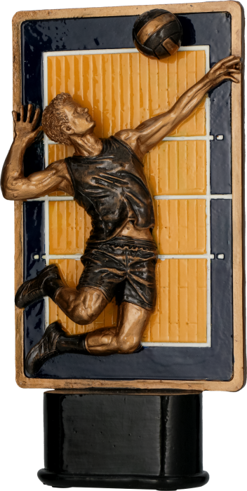 Figurka odlewana w kolorze brązu RFST3065/BR/Y – siatkówka, 23 cm