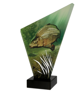 Trofeum szklane TG1/FIS3/BK – wędkarstwo, karp, 3 rozmiary (23,5–29,5 cm)
