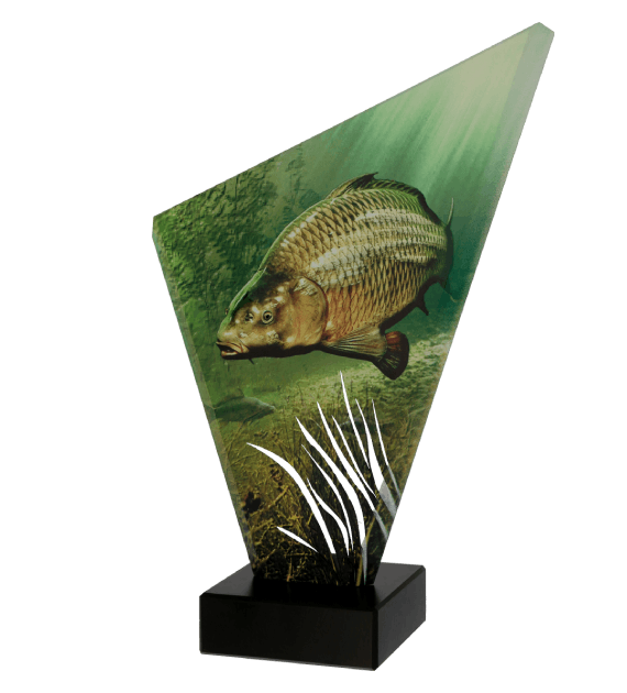 Trofeum szklane TG1/FIS3/BK – wędkarstwo, karp, 3 rozmiary (23,5–29,5 cm)