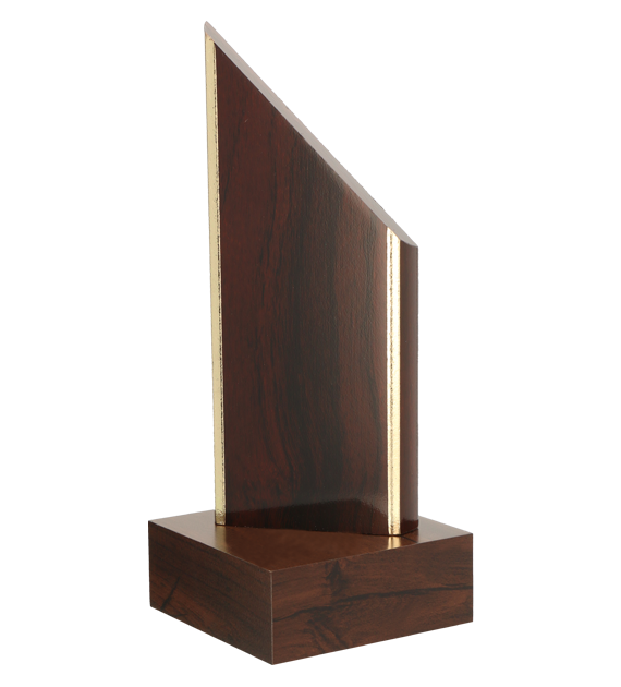 Trofeum z tworzywa sztucznego TROF1C/GR – 23 cm