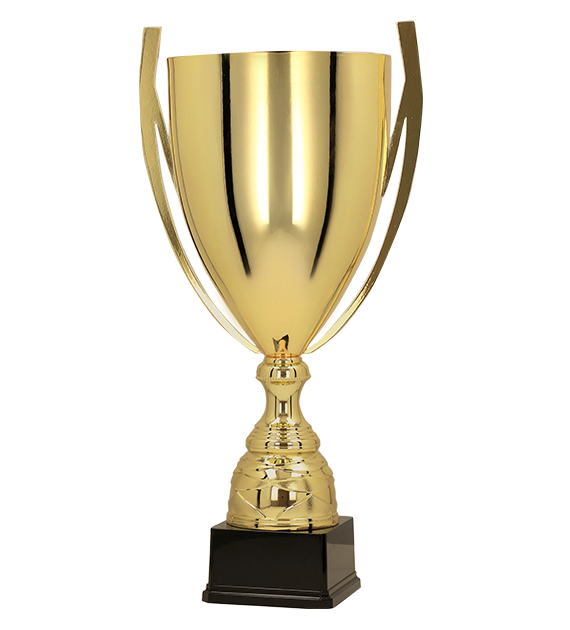 Puchar metalowy złoty Baster 1057 – z pokrywką lub bez, 6 rozmiarów (61–73 cm) – zdjęcie 2