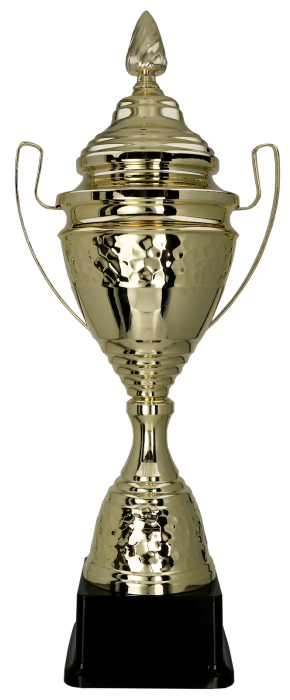 Puchar metalowy złoty 1073 – 3 rozmiary (51–66,5 cm)