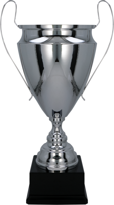 Puchar metalowy srebrny 2020 – 3 rozmiary (51–60 cm)