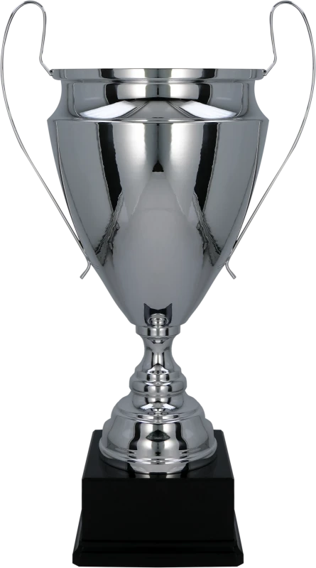 Puchar metalowy srebrny 2020 – 3 rozmiary (51–60 cm)