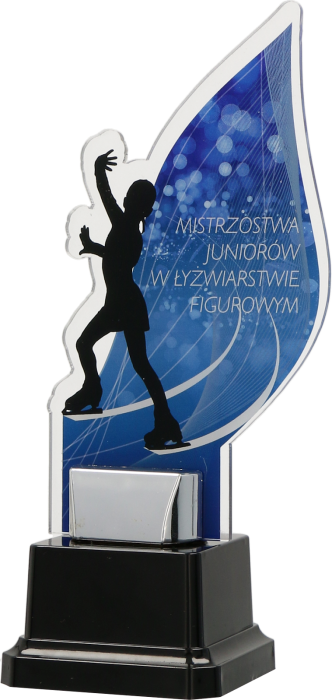 Trofeum z plexi na zamówienie CPX/CUS – indywidualne, 8 rozmiarów (18–30 cm)