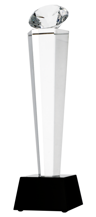 Trofeum kryształowe z etui C077 – 28 cm