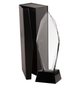 Trofeum kryształowe z etui C043-31 – 30,5 cm