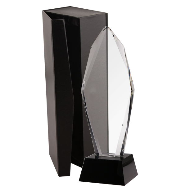 Trofeum kryształowe z etui C043-31 – 30,5 cm