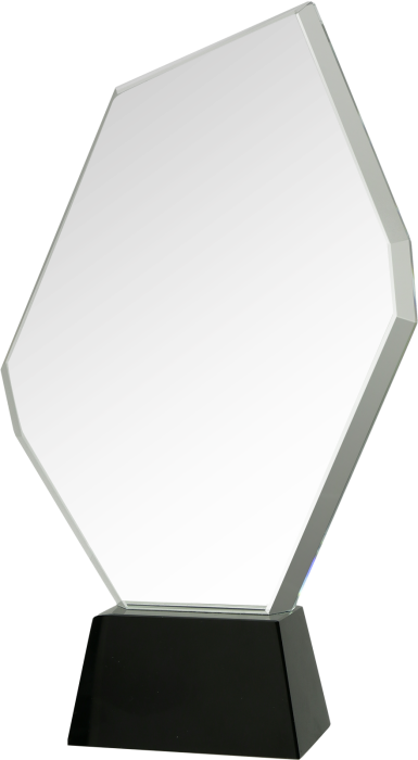 Trofeum kryształowe z etui C069 – 29 cm