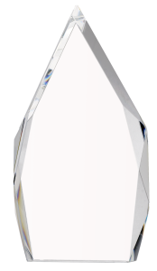 Trofeum kryształowe z etui C073 – 24,5 cm