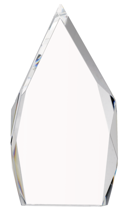 Trofeum kryształowe z etui C073 – 24,5 cm