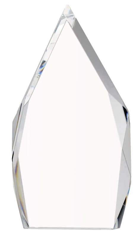 Trofeum kryształowe z etui C073 – 24,5 cm