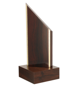 Trofeum z tworzywa sztucznego TROF1 – 3 rozmiary (18–23 cm)