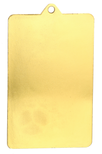 Medal stalowy brązowy MMC7045/B – piłka nożna, boisko piłkarskie, 70 × 45 mm – zdjęcie 4