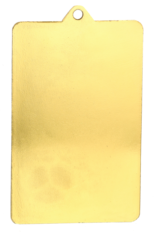 Medal stalowy srebrny MMC7045/S – piłka nożna, boisko piłkarskie, 70 × 45 mm – zdjęcie 4
