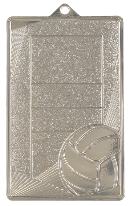 Medal stalowy złoty MMC7245/S – siatkówka, boisko do siatkówki, 70 × 45 mm – zdjęcie 2