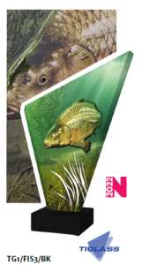 Trofeum szklane TG1/FIS3/BK – wędkarstwo, karp, 3 rozmiary (23,5–29,5 cm) – zdjęcie 2