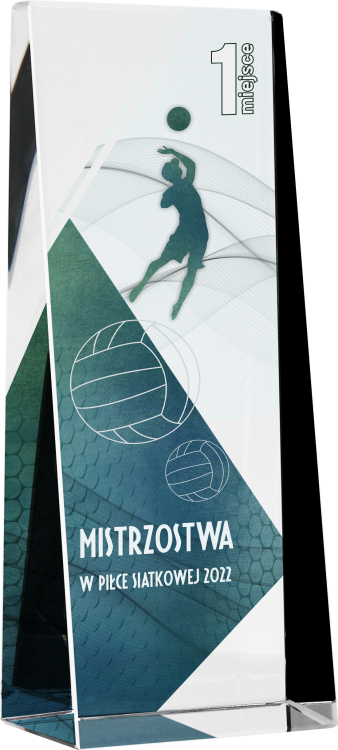 Trofeum kryształowe z etui C037 – 20 cm – zdjęcie 2