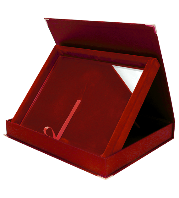 Trofeum szklane z etui DS154 – zdjęcie 2