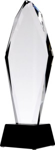 Trofeum kryształowe z etui C043-31 – 30,5 cm – zdjęcie 3
