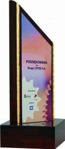 Trofeum z tworzywa sztucznego TROF1 – 3 rozmiary (18–23 cm) – zdjęcie 4
