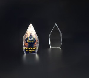 Trofeum kryształowe z etui C073 – 24,5 cm – zdjęcie 4